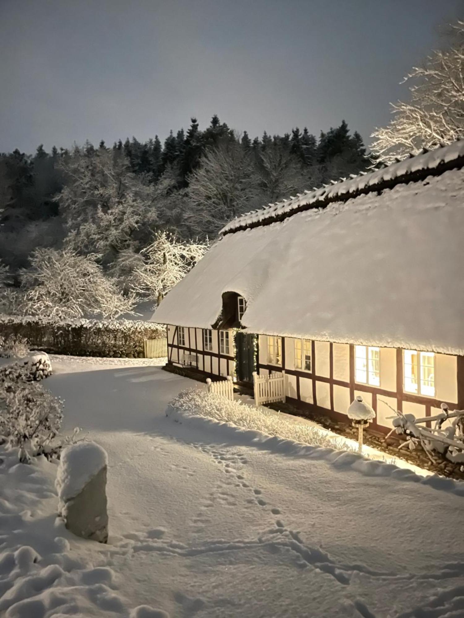 Lillemollens Bed & Breakfast Orbaek  Bagian luar foto