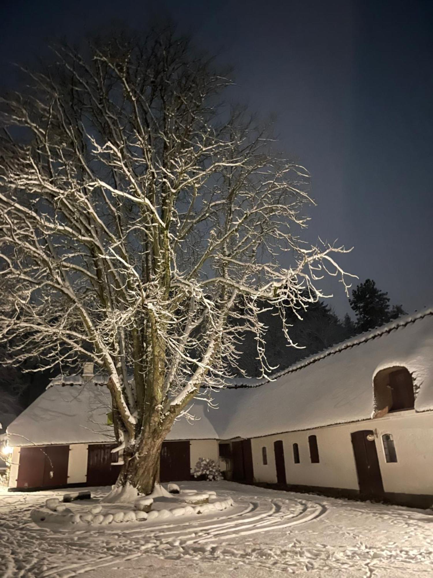 Lillemollens Bed & Breakfast Orbaek  Bagian luar foto